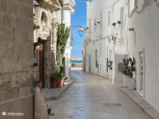 Trullo Président | Italie, Pouilles (Puglia), Martina Franca - maison de vacances Monopolis