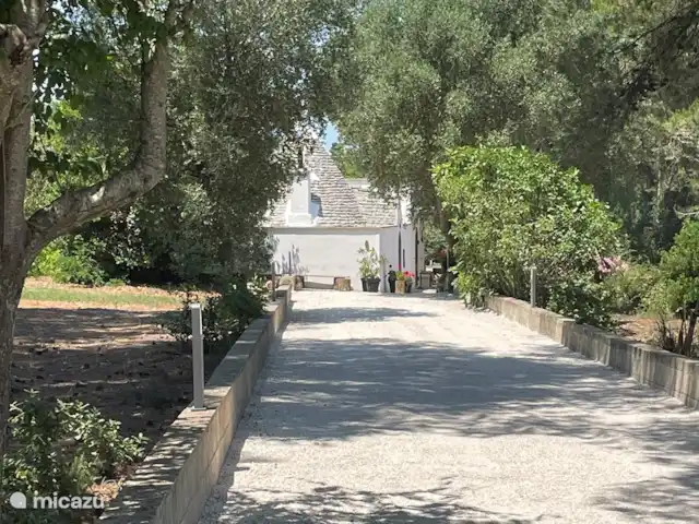 Trullo Président | Italie, Pouilles (Puglia), Martina Franca - maison de vacances Conduire