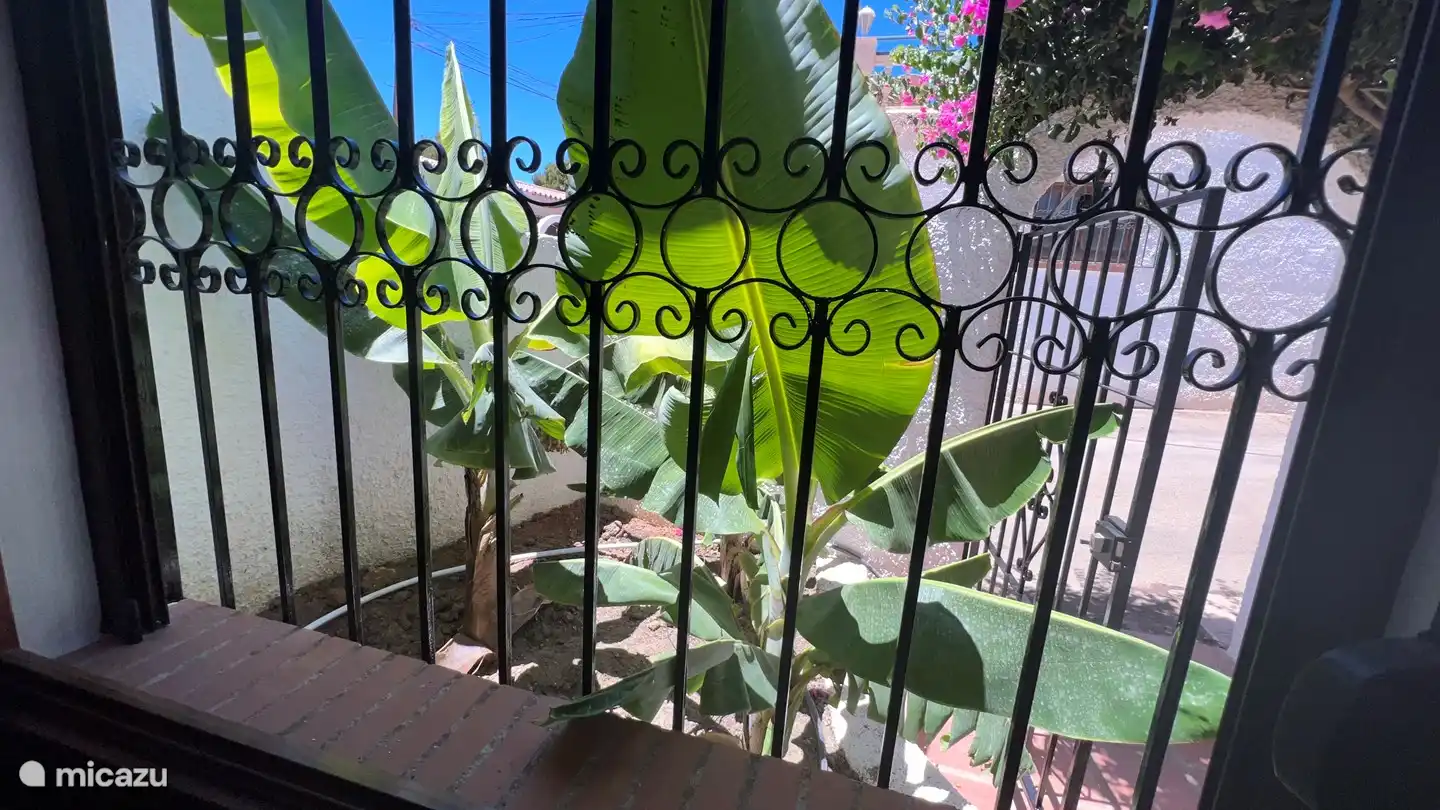 Dies ist Ihr Blick aus Schlafzimmer 1.