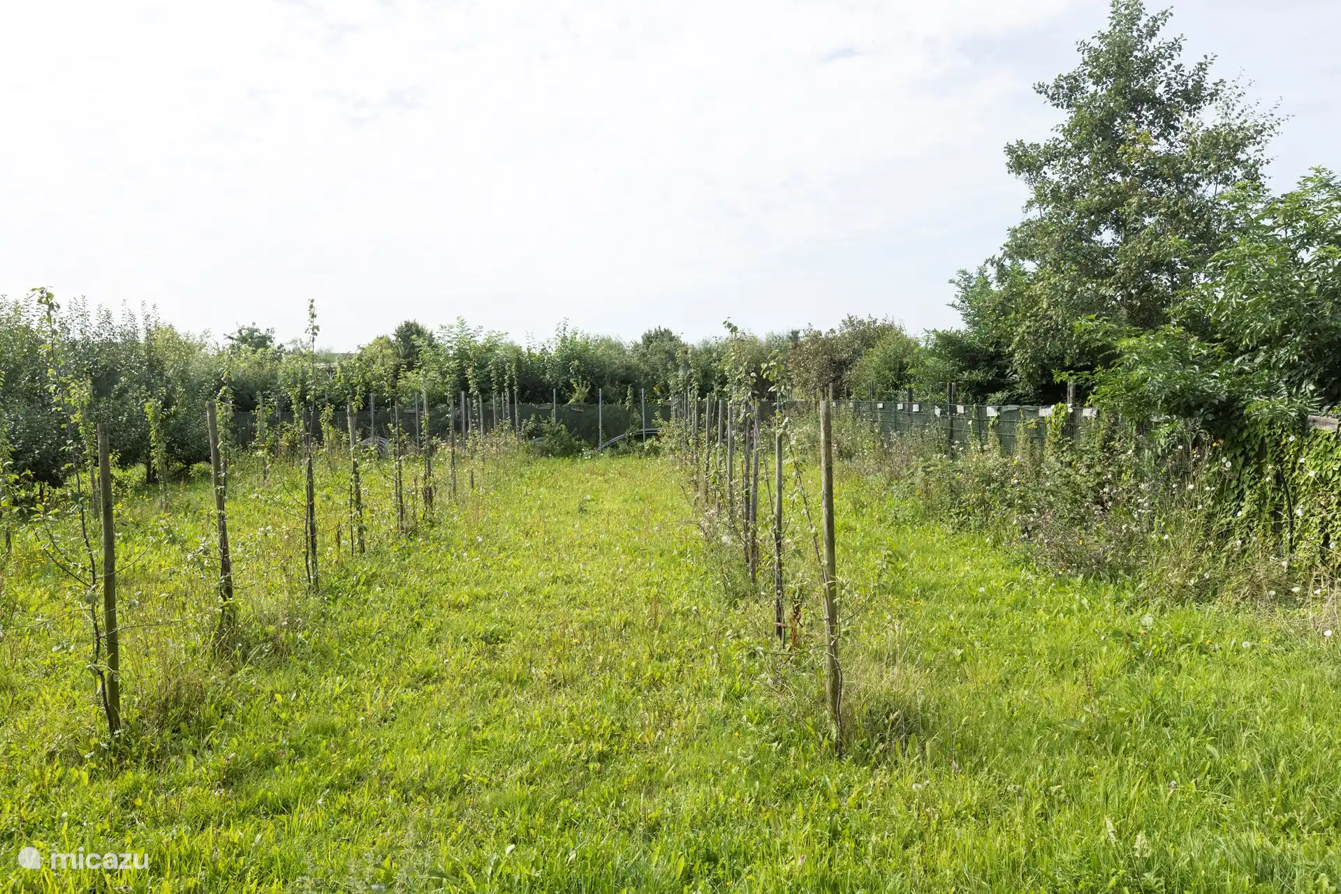 vue depuis les maisons