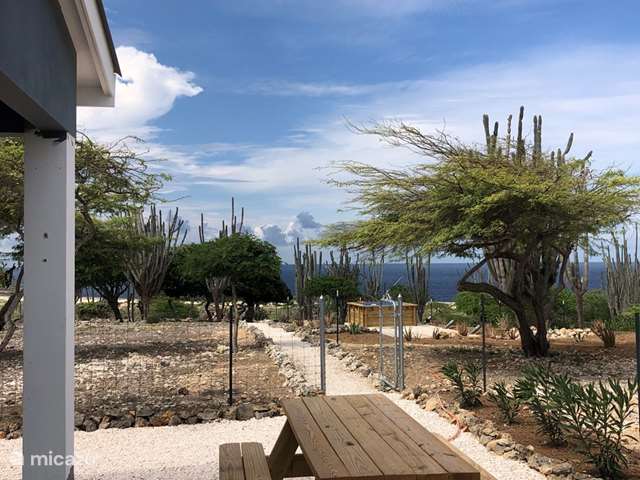 Vakantiehuis Bonaire, Bonaire – vakantiehuis Kas Chardonnay