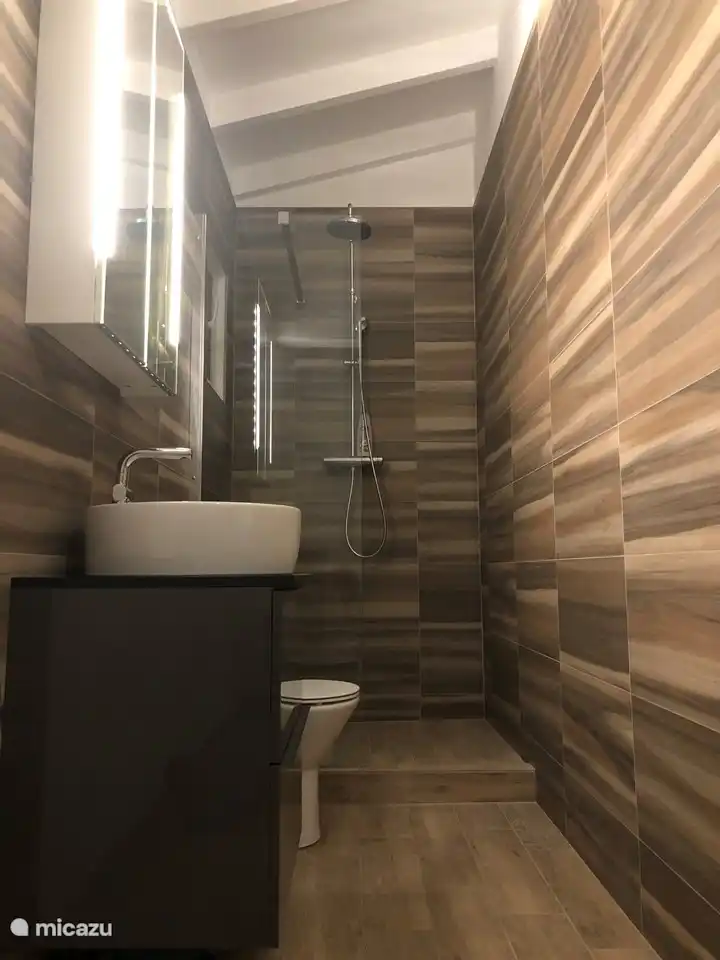 Badezimmer mit Regendusche, normaler Dusche, Waschbecken und Toilette