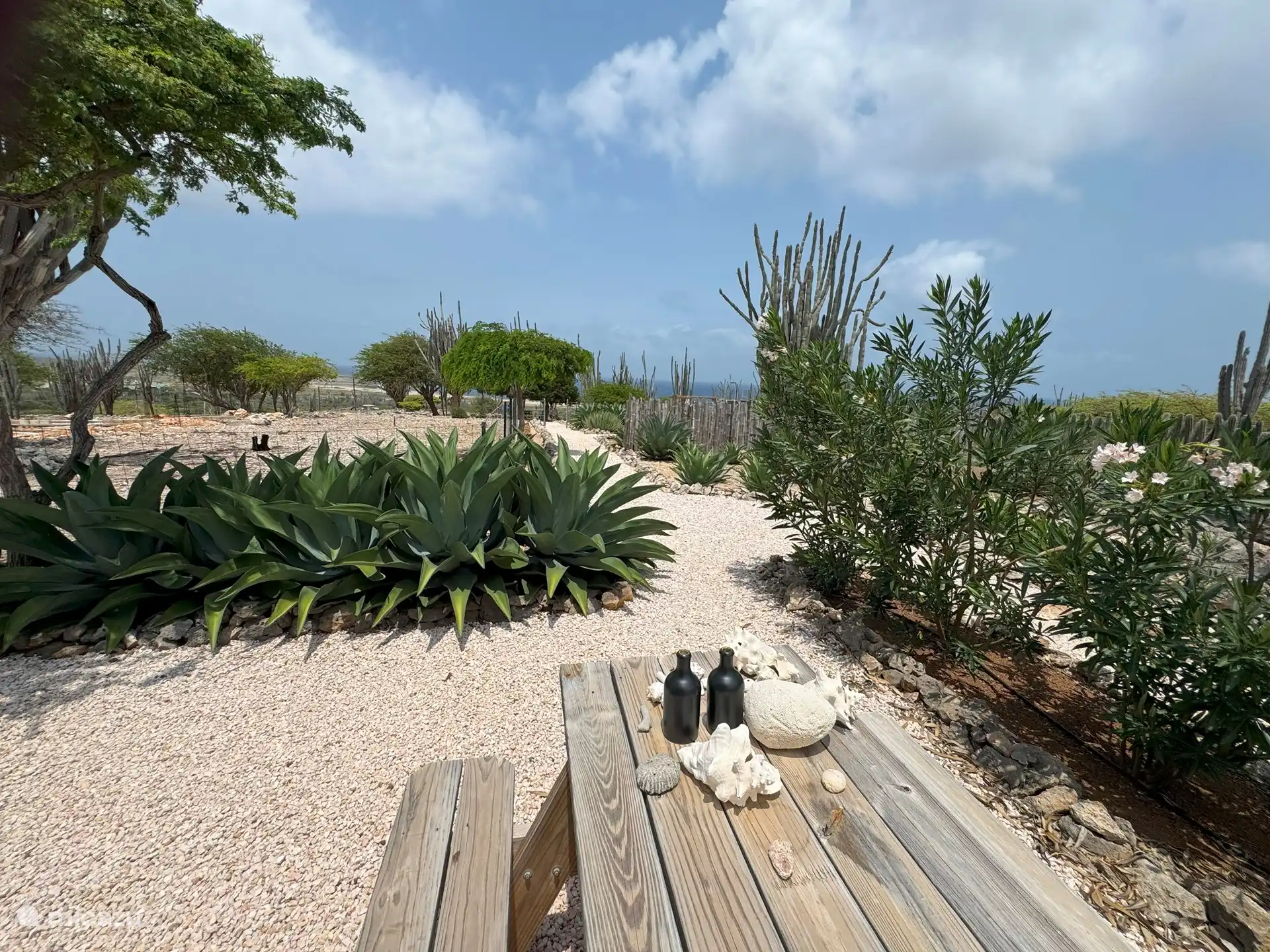 Blick aus dem Garten