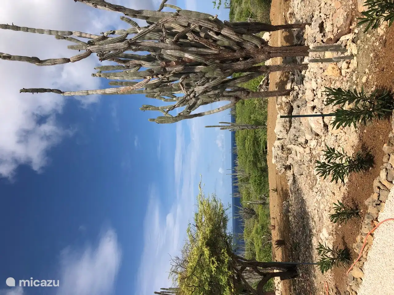 Garten- und Meerblick