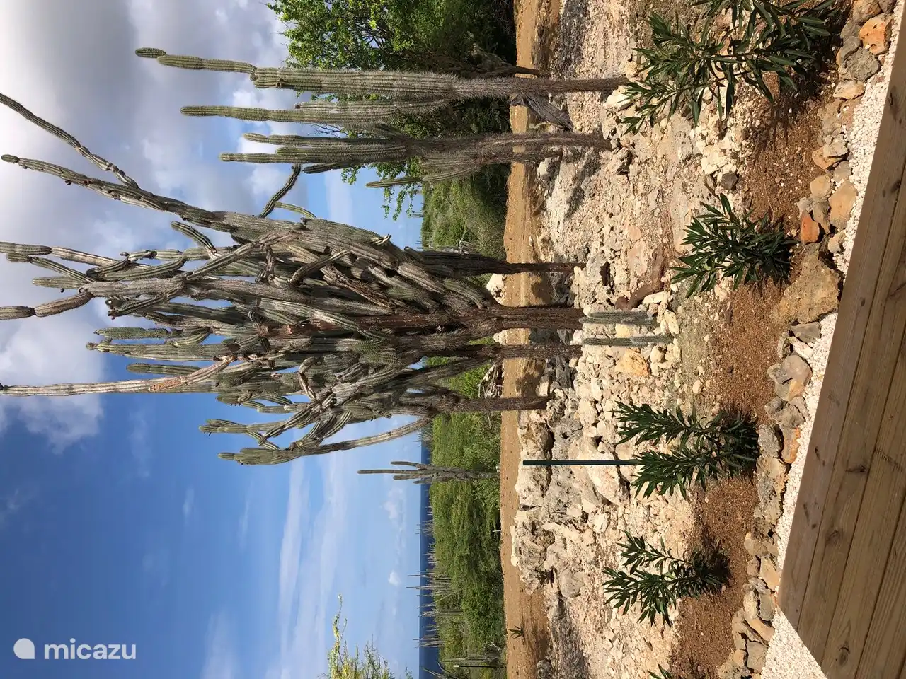 Garten- und Meerblick