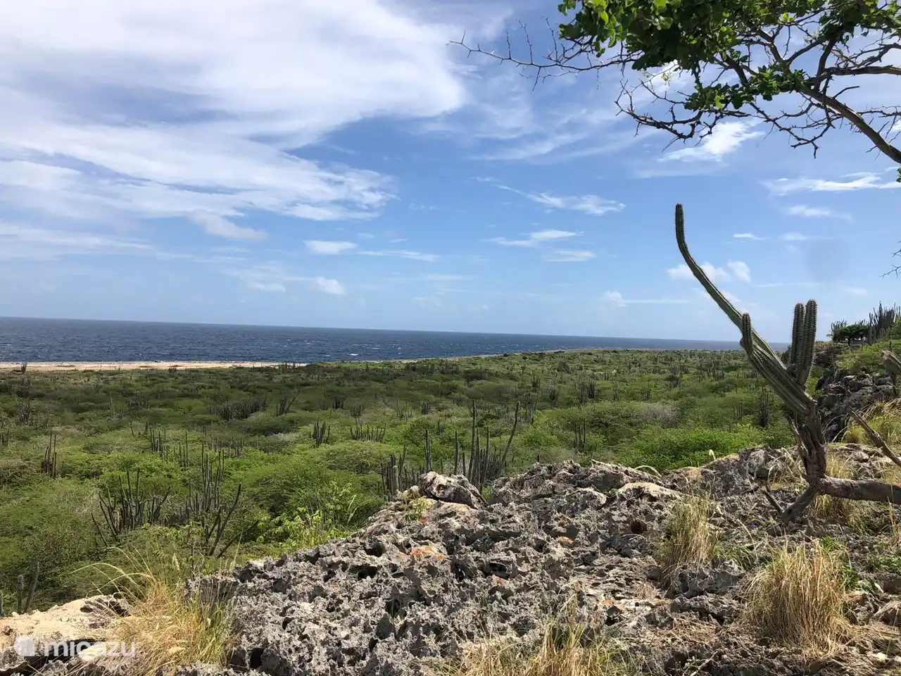 Blick von der Klippe