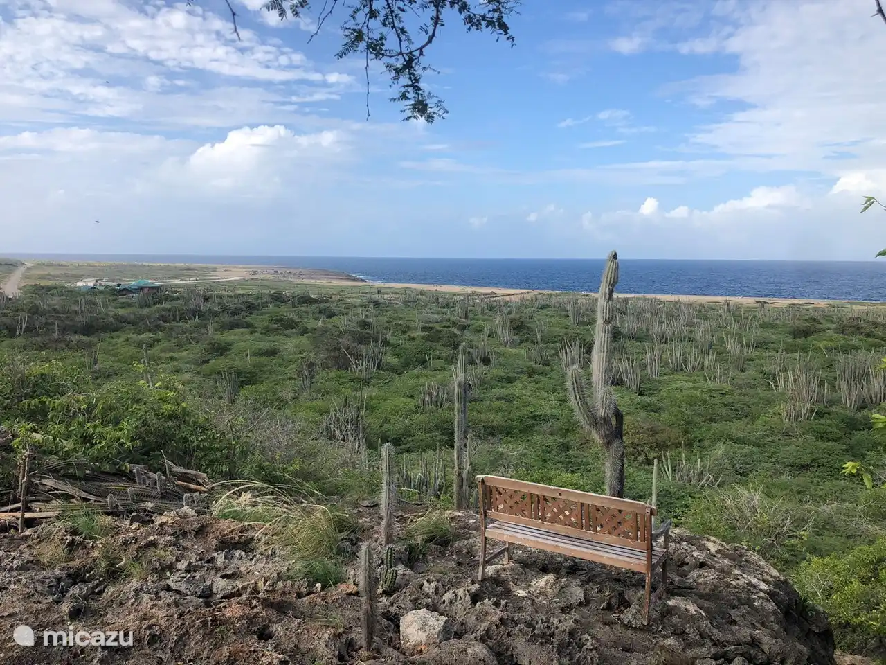 Genießen Sie die Aussicht von der Bank