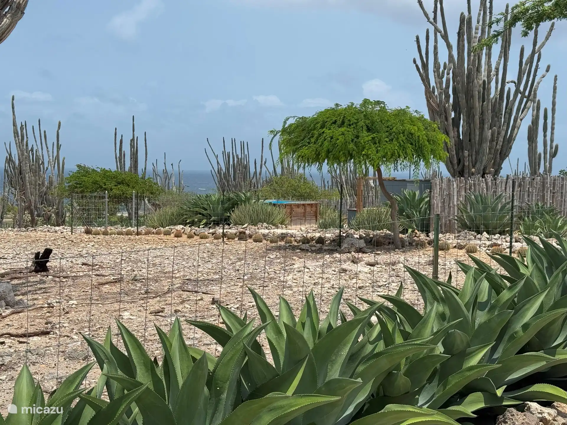 Blick auf das Schwimmbad