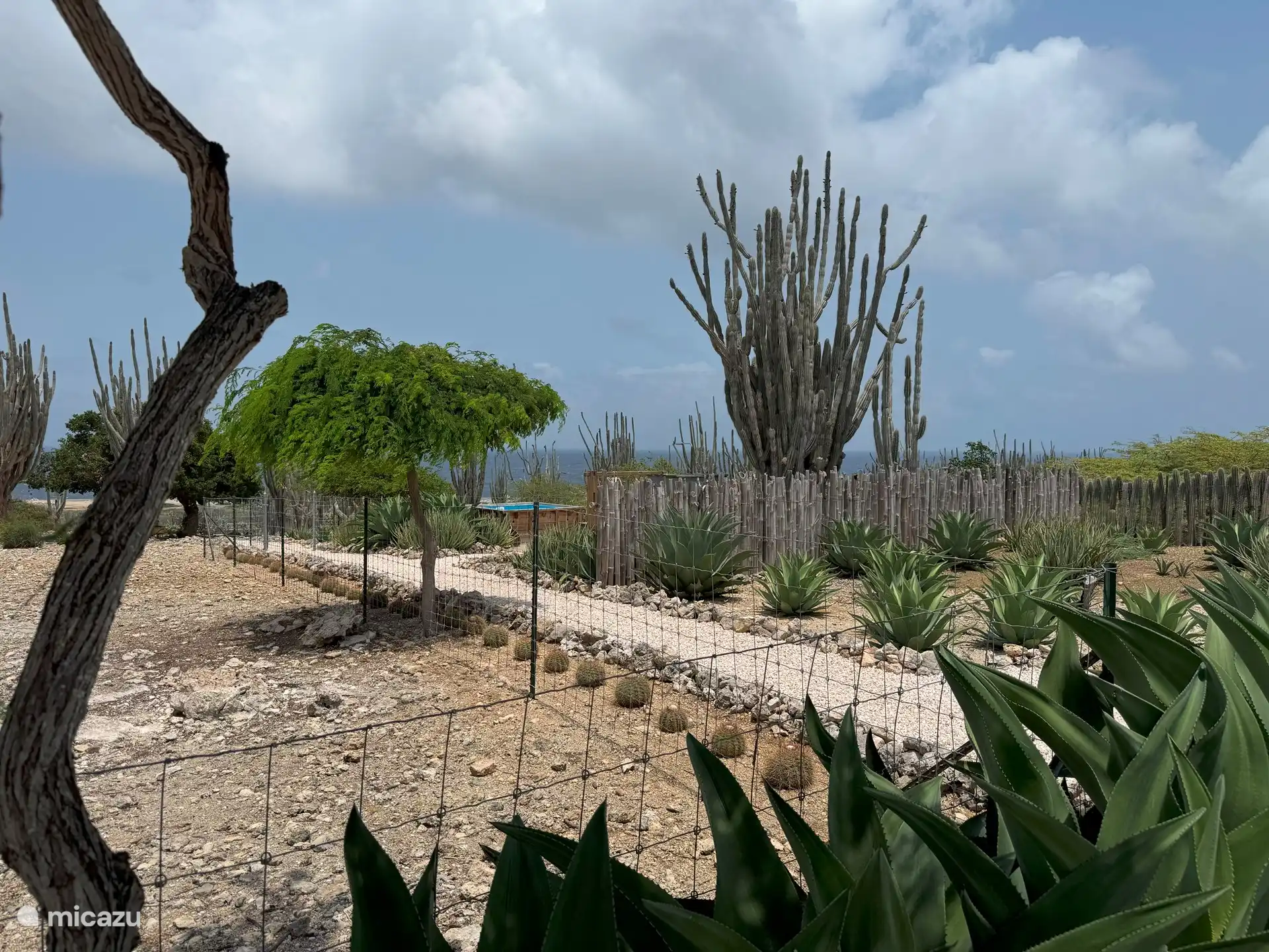 Blick von der Veranda