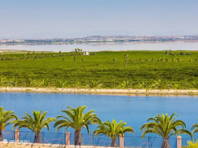Appartement en attique avec terrasse sur le toit | Espagne, Costa Blanca, Torrevieja - penthouse Une belle vue sur les lacs salés
