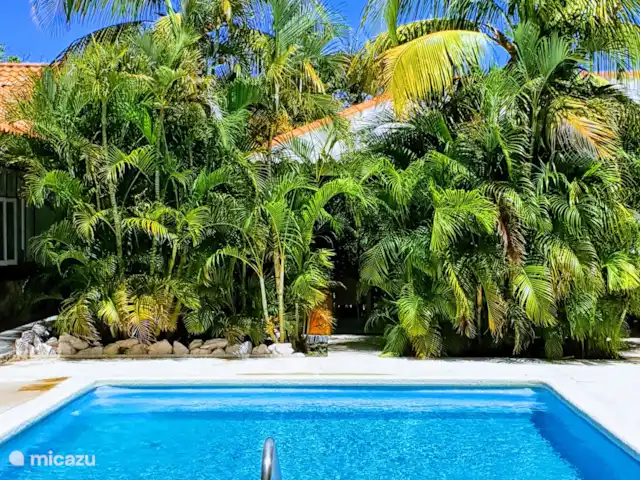 Abay - Apartment Lagun in Curaçao, Curacao-Middle, Julianadorp - bed & breakfast