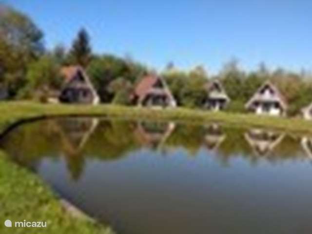 Casa vacacional Países Bajos, Overijssel, Gramsbergen - bungaló De Gouwe, bungalow en un estanque de pesca