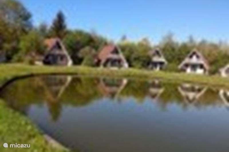 Vakantiehuis Nederland, Overijssel, Gramsbergen Bungalow De Gouwe, bungalow aan visvijver