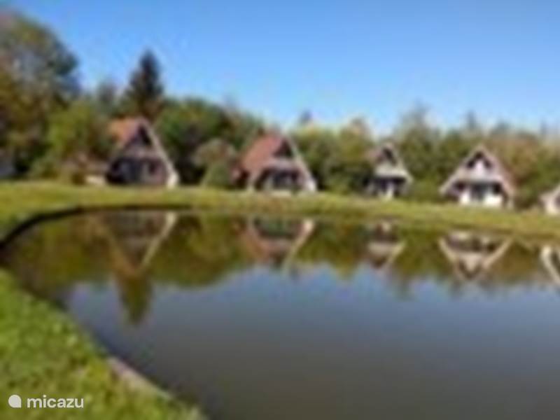 Casa vacacional Países Bajos, Overijssel, Gramsbergen Bungaló De Gouwe, bungalow en un estanque de pesca
