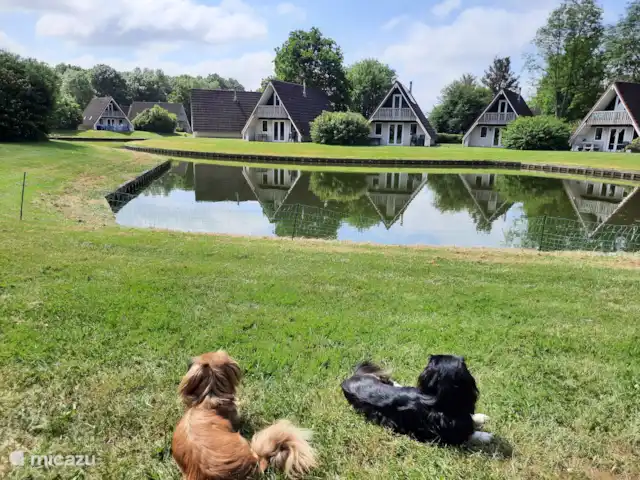 De Gouwe, bungalow en un estanque de pesca en Países Bajos, Overijssel, Gramsbergen - bungaló Vista desde la terraza