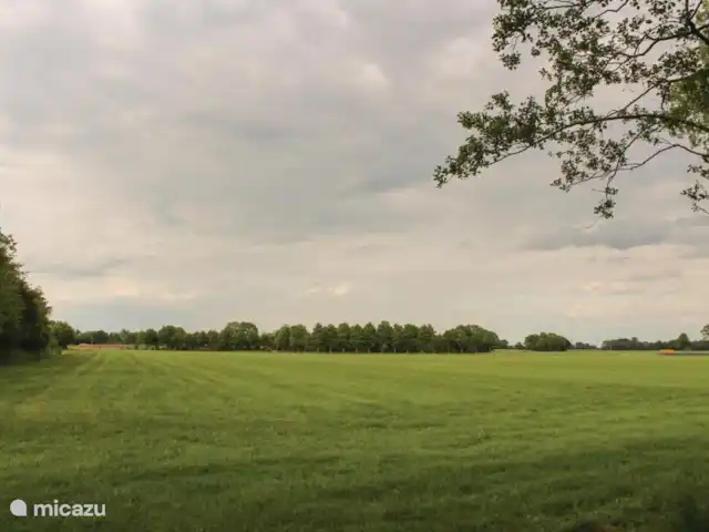 De Gouwe, bungalow en un estanque de pesca en Países Bajos, Overijssel, Gramsbergen - bungaló Parte trasera del parque