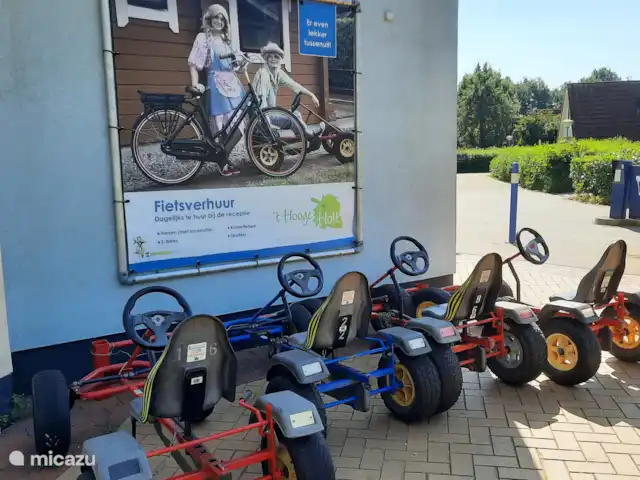 De Gouwe, bungalow en un estanque de pesca en Países Bajos, Overijssel, Gramsbergen - bungaló Alquiler de karts y bicicletas