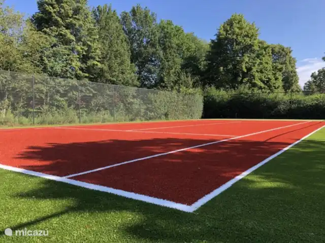 De Gouwe, bungalow en un estanque de pesca en Países Bajos, Overijssel, Gramsbergen - bungaló Cancha de tenis (en alquiler)