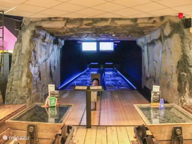 De Gouwe, bungalow en un estanque de pesca en Países Bajos, Overijssel, Gramsbergen - bungaló Boleras