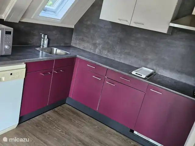 De Gouwe, bungalow en un estanque de pesca en Países Bajos, Overijssel, Gramsbergen - bungaló cocina completa con nevera (+ congelador), microondas y lavavajillas,