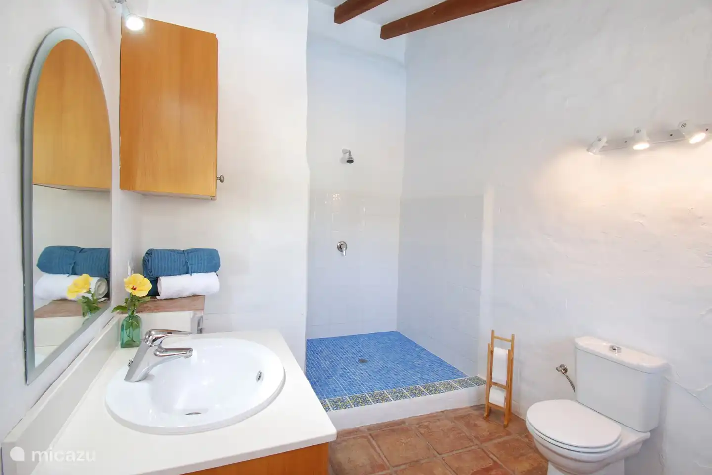 Es gibt eine geräumige Dusche im en-suite Badezimmer, eine Toilette und ein Waschbecken.