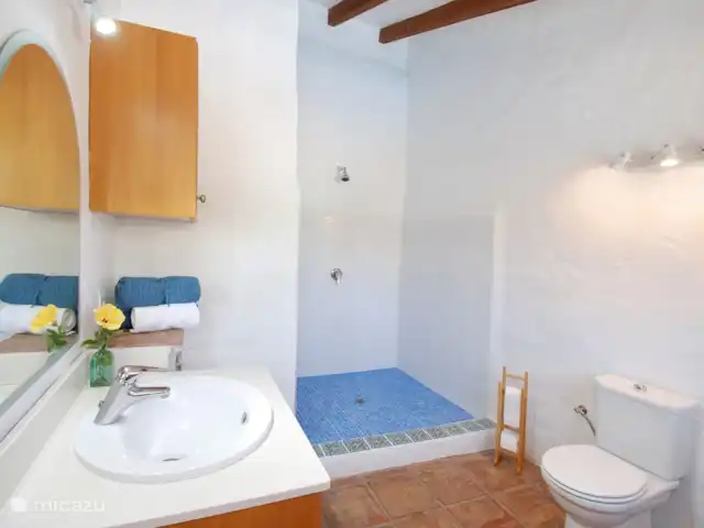 Casa The Lofties huren in Spanje, Costa del Sol, Comares - villa Er is een ruime douche in de en-suite badkamer, een toilet en wastafel.