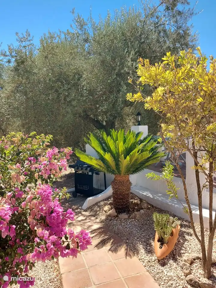 Vielleicht ein BBQ nach dem Aperitif? Wer ist heute der Koch?
