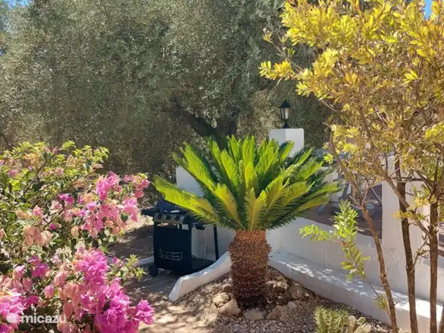 Casa The Lofties huren in Spanje, Costa del Sol, Comares - villa Na de aperitief misschien een BBQ ? Wie is de kok vandaag ?