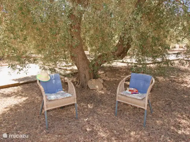 Casa The Lofties huren in Spanje, Costa del Sol, Comares - villa Zoek je eigen schaduwplekje onder één van de prachtige olijfbomen.