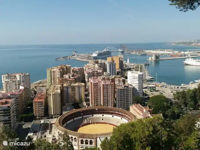 Casa The Lofties huren in Spanje, Costa del Sol, Comares - villa Malaga, cultureel en gastronomisch juweel aan de Costa del Sol. 1 uurtje rijden brengt u naar deze geweldige stad. Geniet van lekker eten, bezoek musea of shop till you drop. Voor elk wat wils in Malaga.