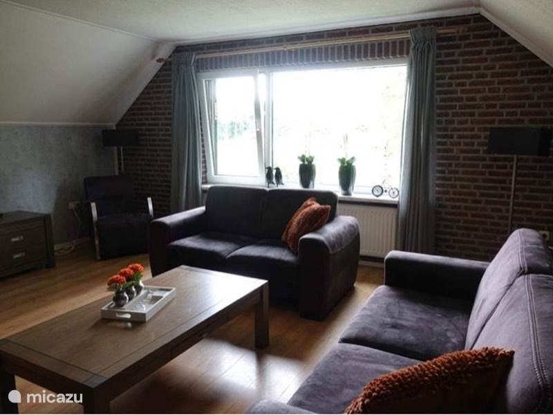 Holiday home in Netherlands, Overijssel, Weerselo Apartment apartment De Veldmeijer