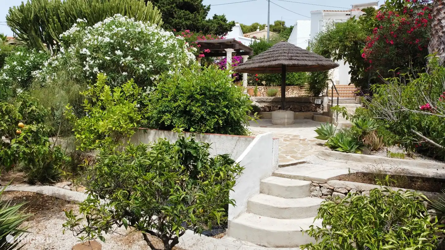 Haus hat fast 2000 m2 Land mit schönen Bäumen und Pflanzen