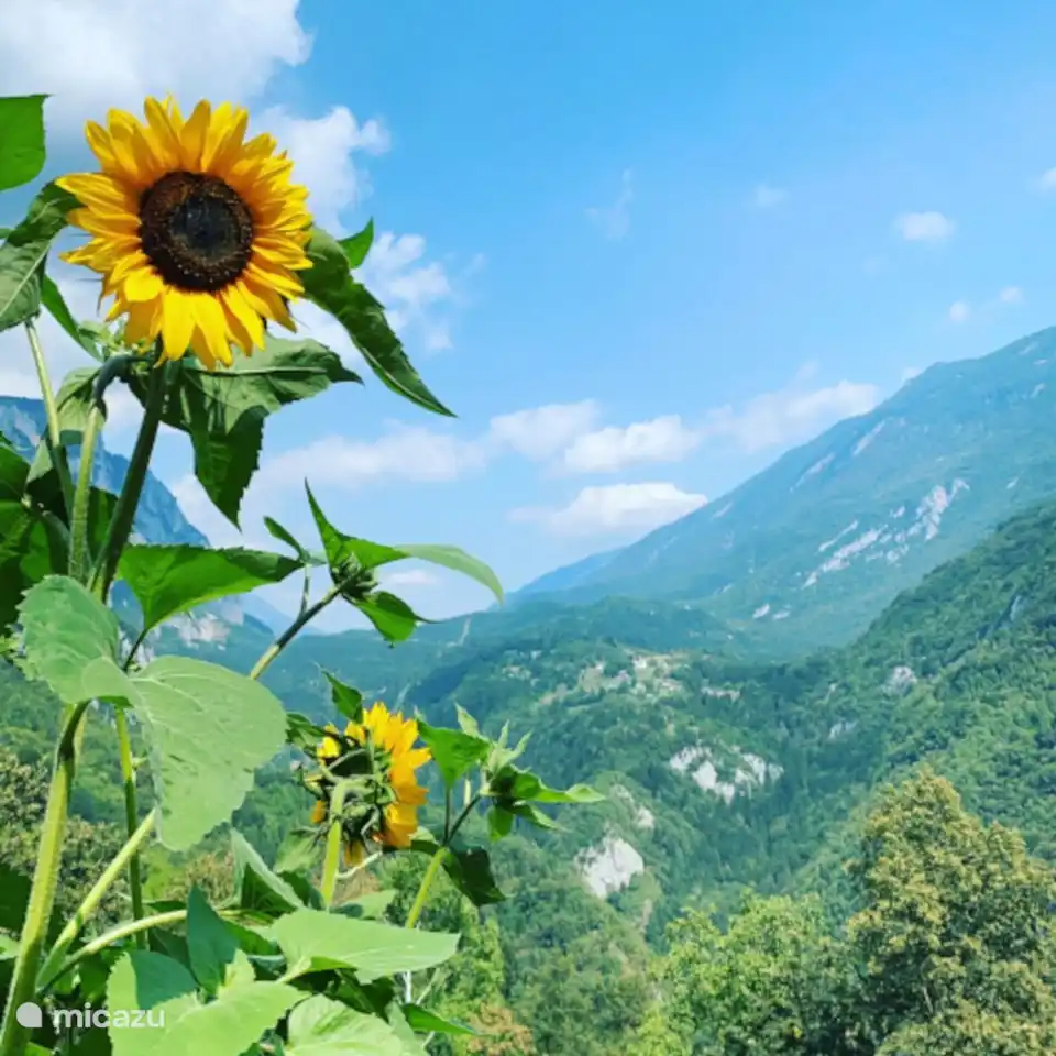 Und im Sommer genießen Sie die Aussicht auf das Tal und die Dörfer Moline und Deggia