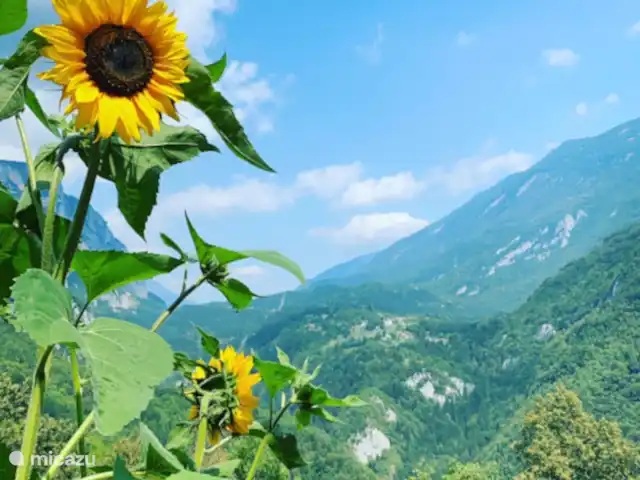 Chalet Torcel - DELUXE Kamer Ambiez huren in Italië, Dolomieten, San Lorenzo in Banale - gîte / cottage En geniet in de zomer van het uitzicht op de vallei en de dorpen Moline en Deggia