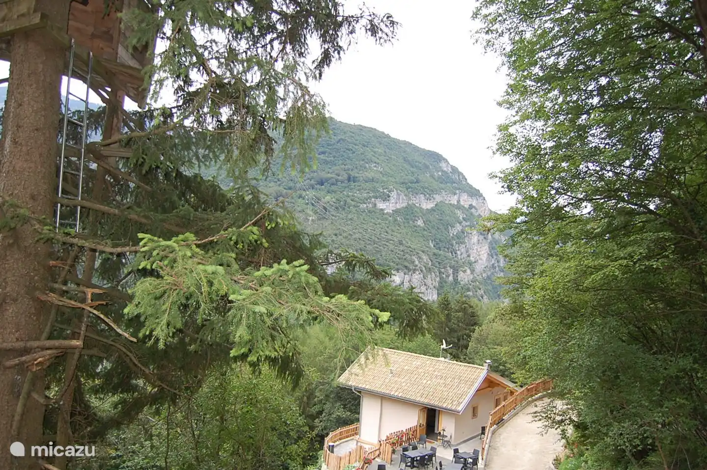 Haus in freier Wildbahn 