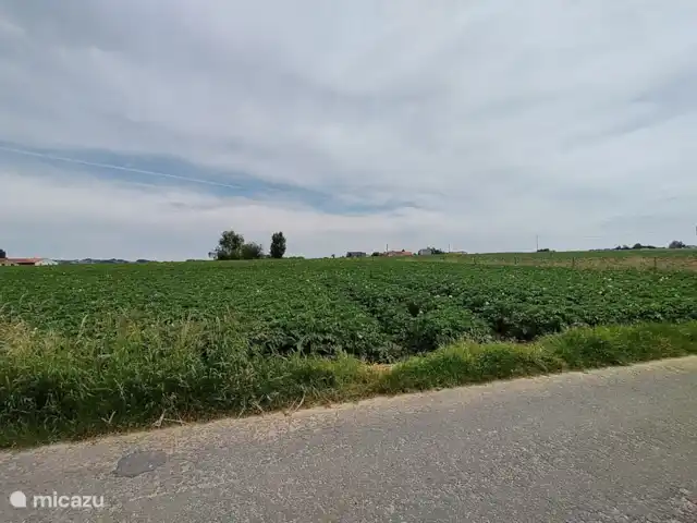 Mote26 huren in België, West-Vlaanderen, Ingooigem - vakantiehuis uitzicht vooraan