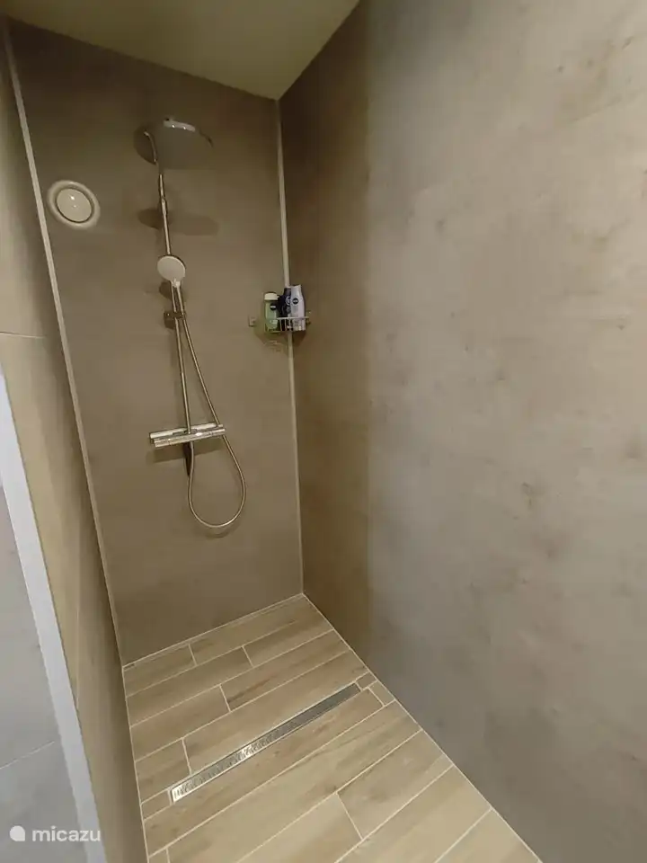 Badezimmer mit stimmungsvoller Beleuchtung, große begehbare Dusche, Hängetoilette, Badezimmermöbel, Zentralheizung, Luft- / Feuchtigkeitsabsaugung