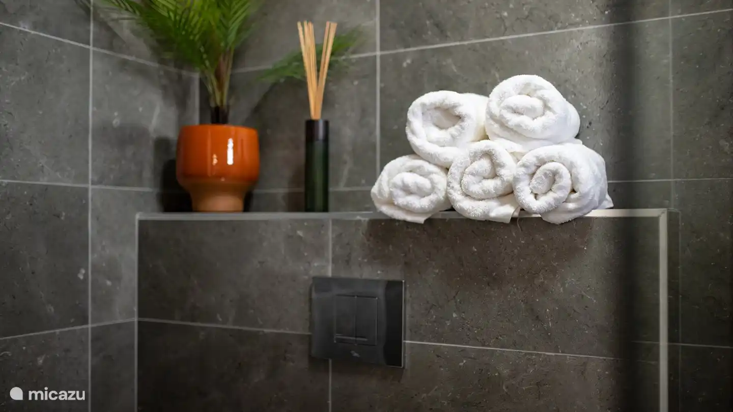 salle de bain de luxe à l'étage