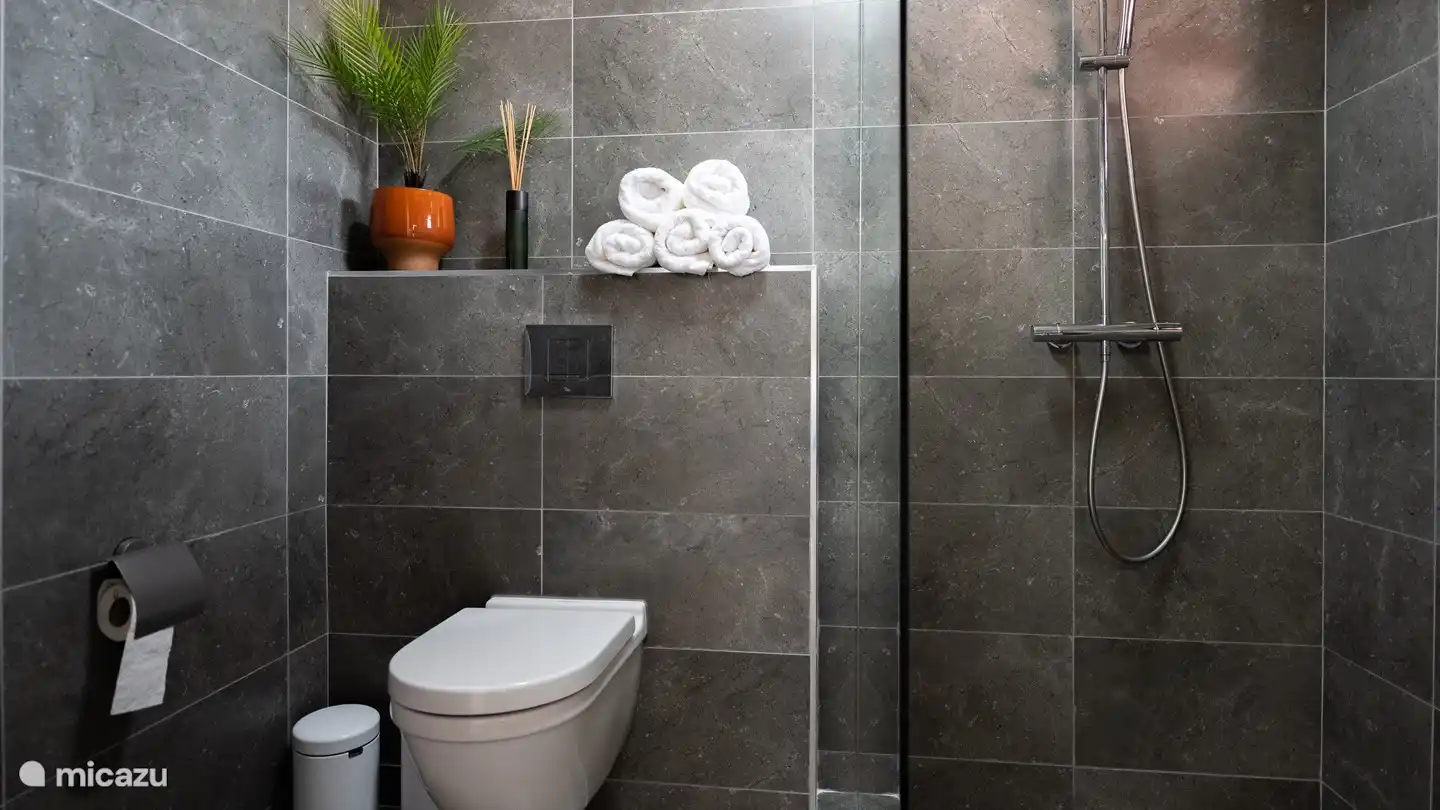 salle de bain de luxe à l'étage