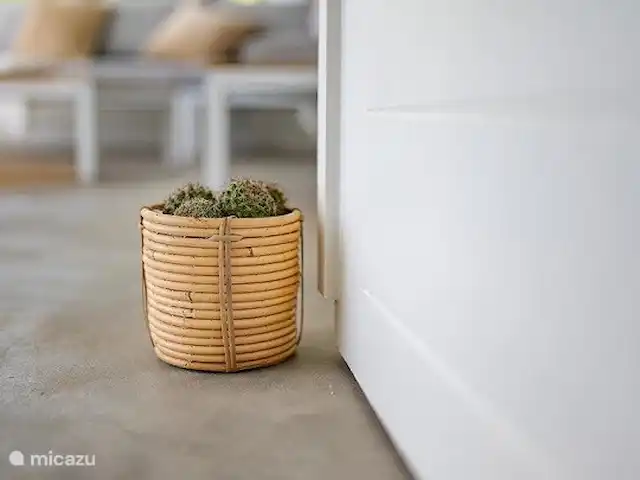 Villa Witsand en Curazao, Bandabou (oeste), Coral Estate, Rif St.Marie - villa Cactus