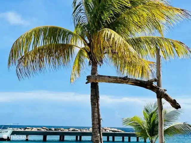 Villa Witsand en Curazao, Bandabou (oeste), Coral Estate, Rif St.Marie - villa palmera