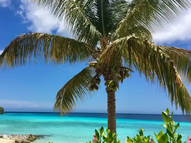 Villa Witsand en Curazao, Bandabou (oeste), Coral Estate, Rif St.Marie - villa Playa Puerto María