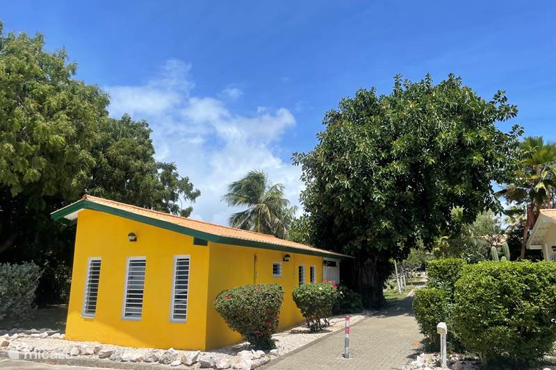 Vacation rental Curaçao, Curacao-Middle, Koraal Partier Bungalow Bungalow 36