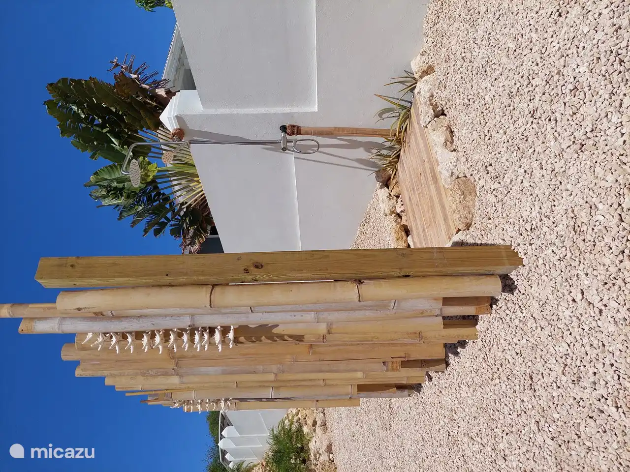 Tropisches Äußeres zum Abkühlen