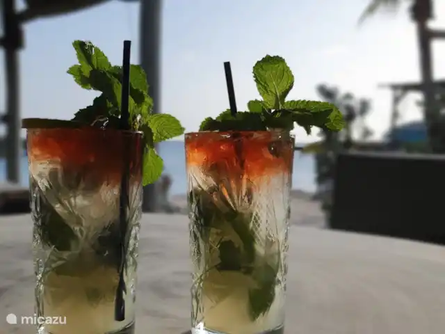 Apartamento Bamboo  en Curazao, Bandabou (oeste), Fontein - apartamento Deliciosos cócteles en la playa