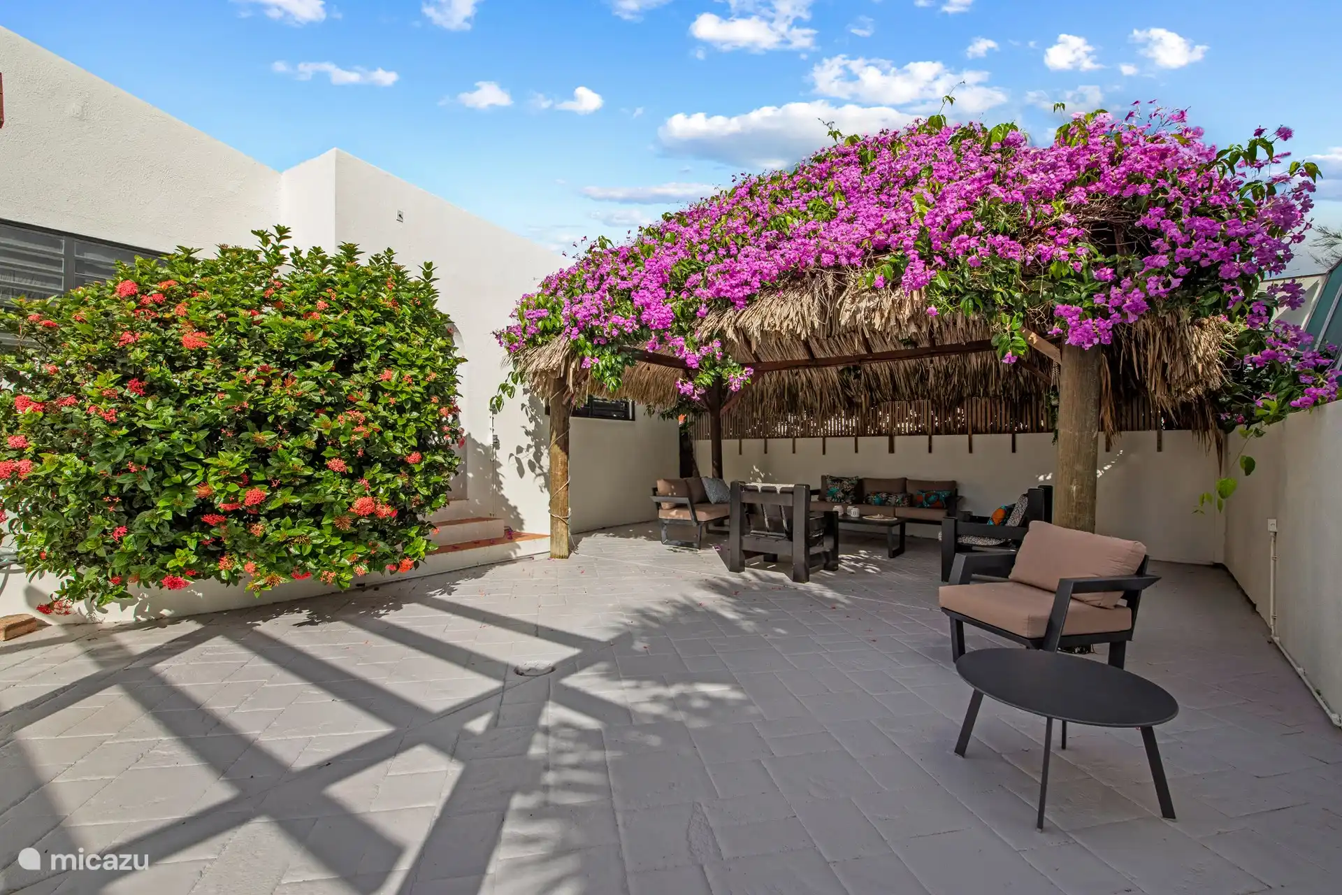 De palapa staat bijna het hele jaar in bloei. 