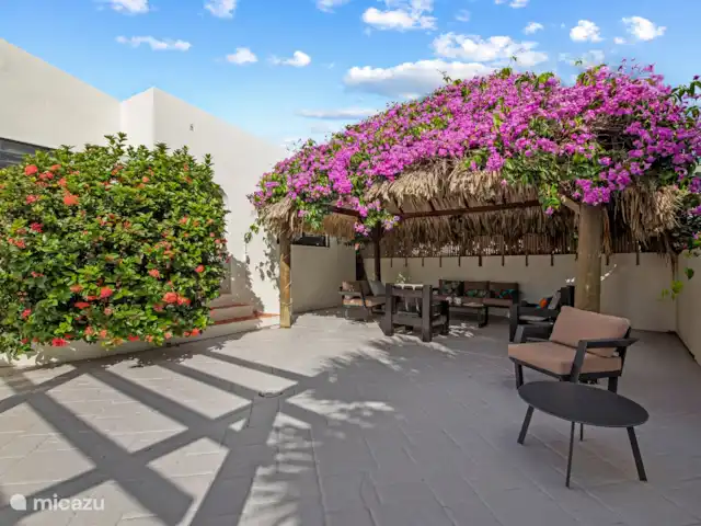 Hacienda Azul | Curaçao, Banda Ariba (est), Jan Thiel - villa La palapa est en fleurs presque toute l’année.