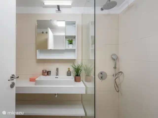Mirasal - appartement 14 | Espagne, Costa Blanca, Torrevieja - appartement Salle de bain 1