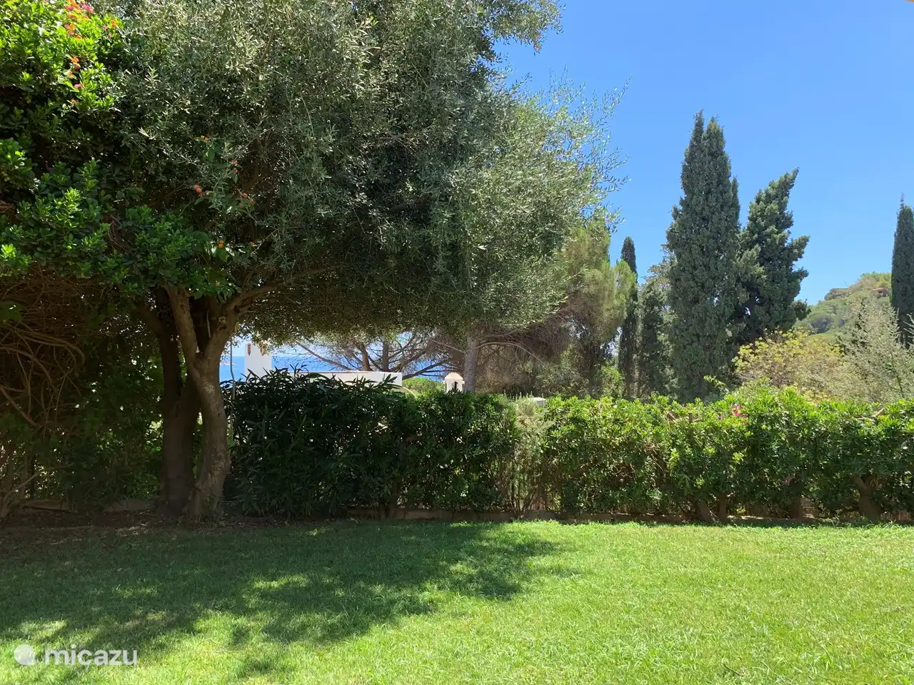 Fotoansicht vom Wohnzimmer und der Terrasse.