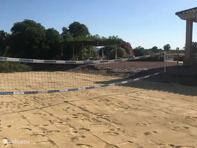 Villa avec piscine Solaire | Espagne, Costa Blanca, Daya Nueva - finca terrain de volley-ball